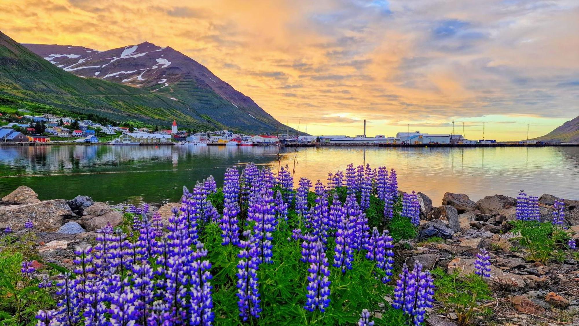 Landakot The Perfect Getaway By Staynorth Siglufjordur Exterior photo